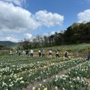 [충남 홍성] 이색 농촌 체험 &lt;따르릉 홍성 유기논길&gt; 추천