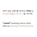 제일메드