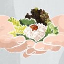 젓가락질 잘해야만 밥을 먹나요 이미지