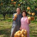 김순남 농장 이미지