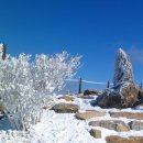 제211차 산행 ~ 1월7일 ~ 지리산 만복대(1437m). 이미지