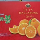 훈이청과