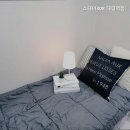 스테이308