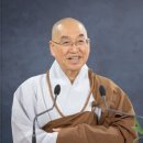 지혜로운 소나무