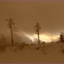 안성리-3 이미지