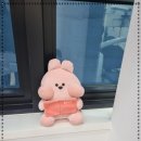 수많은 진료와 세심한 진료, 처인구 치과