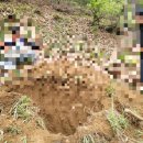 대구장의사