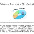 바이온드