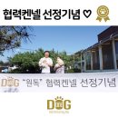 소문켄넬 네이버블로그