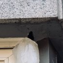 대성아트빌라 이미지