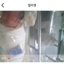 세인트누보산후조리원 | 일산 산후조리원 세인트누보 2주 후기 | 초산모, 자연분만 산모의 조리원 이용 후기