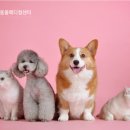 계산메디칼센터 이미지