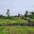 비석축산 이미지