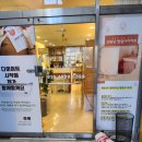 원당애견미용 | 원당 일산 이색카페 다이어트 찜질카페 애견동반 후기