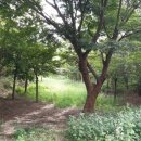 전원 부동산 중개인 사무소 이미지