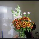 문화재단지 관광안내소 이미지