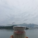 오동유리 이미지