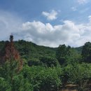 봉황보건진료소 이미지