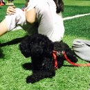 공원양꼬치 이미지