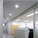 신우ENG