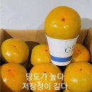 로망 단감(신품종) 20과 판매(한정수량) 이미지