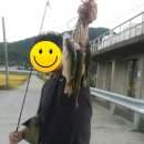 양사낚시터 이미지