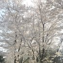 강일늘사랑유치원 | [링키영어 강일리버파크] ♥3월 마켓데이♥