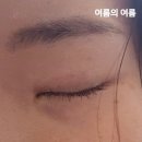 시드물 블랙 속눈썹영양제 내돈내산 후기 + 투명과 비교 속눈썹영양제 추천