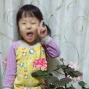 김종구농장 이미지