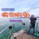 군도20호 | 인천 영흥도 영진호 갑오징어 선상낚시 후기 (갑오징어 낚시채비, 갑오징어 낚시 장비)