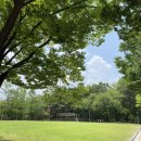 보강치과상사 | [22년 5월, 6월] 역대급 분량, 홍대, 건대 맛집, 코로나, 애드플래쉬, 경쟁피티, 시험기간