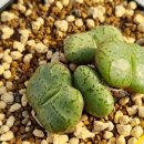 곤의농장 이미지