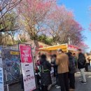 희망오차마을 경로당 | 순천 홍매화 축제 탐매마을 주차 및 탐매축제 실시간 개화 상황 등(2026.3.7.)