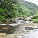도림사 이미지