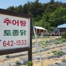 강릉옻닭 이미지