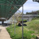 영농조합쉬리마을 추진위원회 이미지