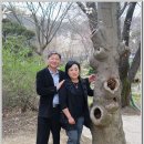 문산초교 이미지