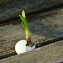 하)토탈공예 이미지