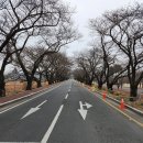 흥무로1(가운데) 이미지