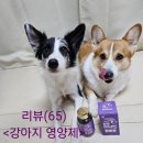 댕이당 | (강아지 영양제 추천)댕이수랏간 침향 피부&amp;피모 급여후기