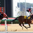 미스터국 이미지