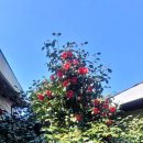 붉은바다 펜션 이미지