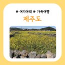 탐라휴가(休家) | [여기어때] 제주도 여행 (2박 3일)