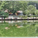 그린 낚시터 이미지