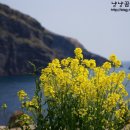 톨칸이