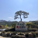 영암초등학교 | 전남 광주 근교 물놀이 영암 월출산 기찬랜드 개장 7월 13일