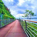 낙동강자전거길 이미지