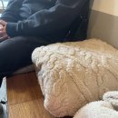 구청역 근처 카페 분위기 좋고 디저트도 맛있는 대구 카페 추천 “발루토커피“ (위치, 카이막 후기 포함)