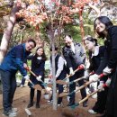 그루 - 문경시 당교1길 39 | 그루