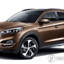 제이디위너 이미지